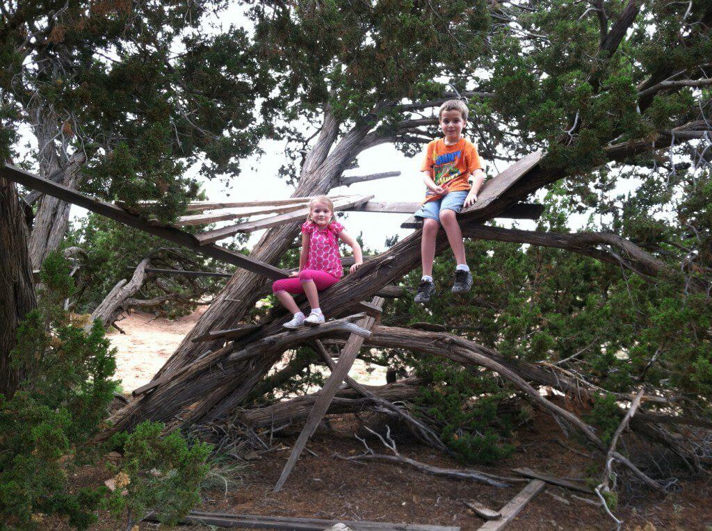 Two children sitting on tree branches near a water body.